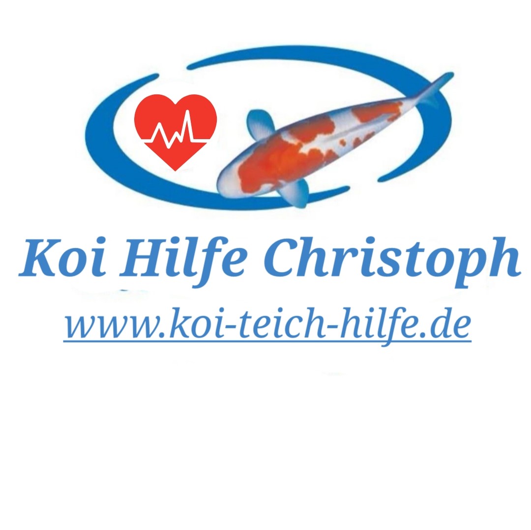 www.koiteichhilfe.de Koi Hilfe Christoph Startseite